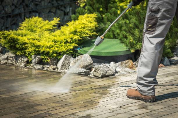 Best Boat and Dock Cleaning  in Burkesville, KY