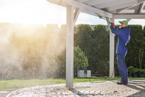 Best Building Exterior Washing  in Burkesville, KY